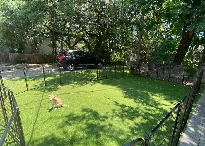 Great Central Location Downtown Austin-Fenced Area For Dogs, Near Ut